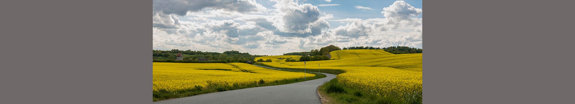 Physiotherapie Ariane Will in Kropp